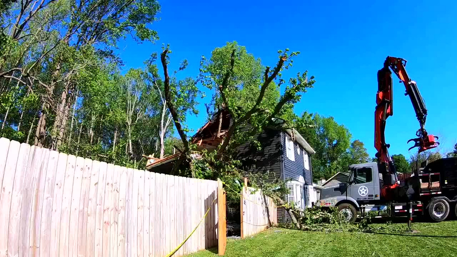 Tree Removal in Spartanburg | Free Quotes | Renegade Stump Removal & Tree